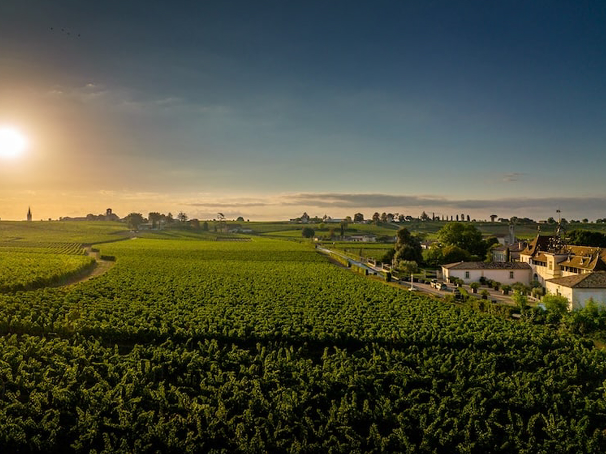 Cabernet Franc: A Blind Tasting of the World’s Best